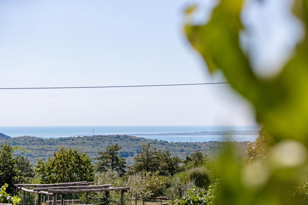 Vila Sistiana Kostanjevica na Krasu Экстерьер фото
